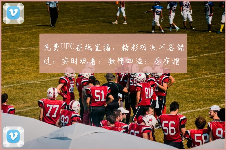 免费UFC在线直播，精彩对决不容错过，实时观看，激情四溢，尽在指尖，3大平台同步呈现，不容错过