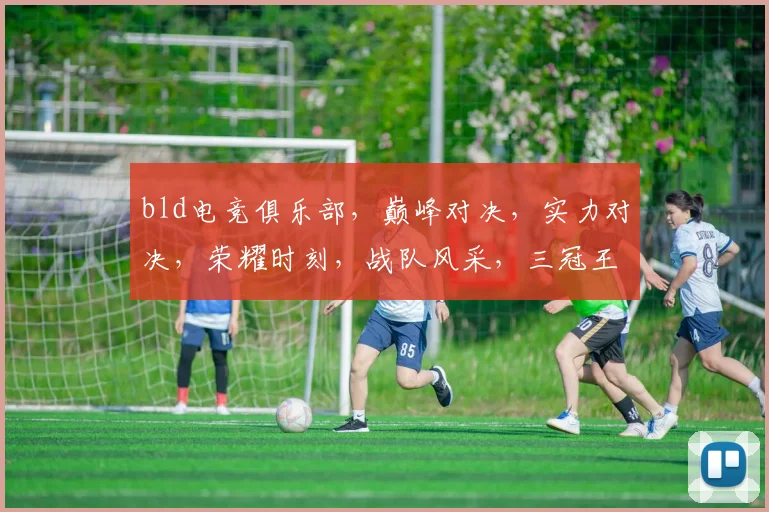 bld电竞俱乐部，巅峰对决，实力对决，荣耀时刻，战队风采，三冠王归来