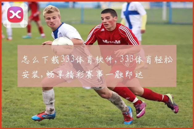 怎么下载333体育软件,333体育轻松安装,畅享精彩赛事一触即达