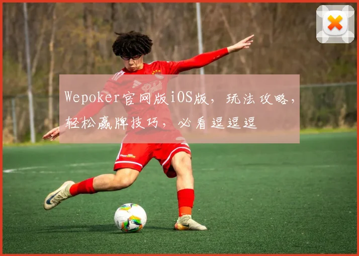 Wepoker官网版iOS版，玩法攻略，轻松赢牌技巧，必看逗逗逗