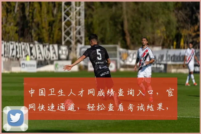 中国卫生人才网成绩查询入口，官网快速通道，轻松查看考试结果，三步搞定
