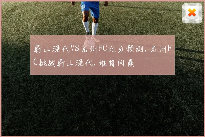 蔚山现代VS光州FC比分预测,光州FC挑战蔚山现代,谁将问鼎